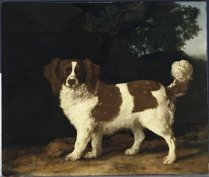 Fanny, de favoriete spaniël van mevrouw Musters, staand in een bosrijk landschap