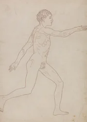 Menselijke figuur, lateraal aanzicht (Omtreksstudie in omgekeerde richting van Tabel VIII)