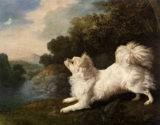 Spaniël van schilder Cosway die een vlinder achterna zit, 1775