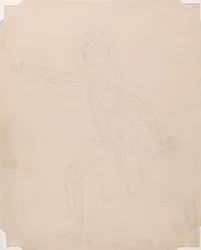 Studie van het Menselijk Lichaam, Laterale Weergave, uit Een Vergelijkende Anatomische Expositie van de Structuur van het Menselijk Lichaam met die van een Tijger en een Gewone Vogel, c.1795-1806