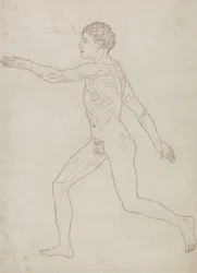 Studie van de Menselijke Figuur, Lateraal Aanzicht, uit 