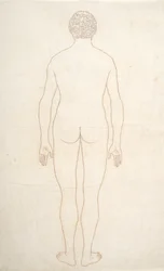 Studie van het menselijk lichaam, achteraanzicht, uit Een Vergelijkende Anatomische Expositie van de Structuur van het Menselijk Lichaam met die van een Tijger en een Gewone Vogel, c.1795-1806