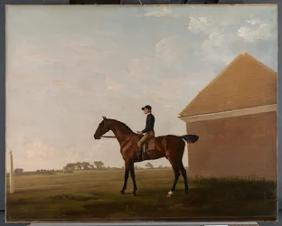 Turf, met jockey, in Newmarket