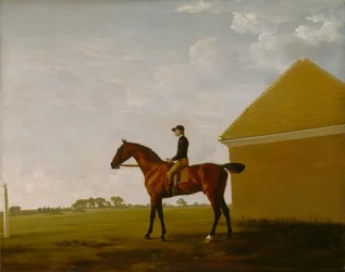 Turf, met Jockey omhoog, op Newmarket