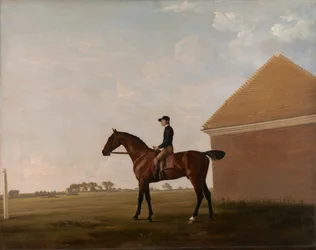 Turf, met jockey op, in Newmarket