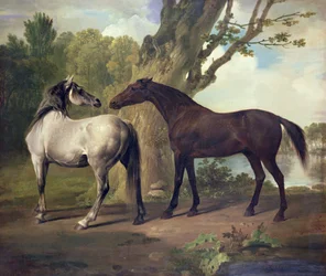 Twee Paarden in een Landschap