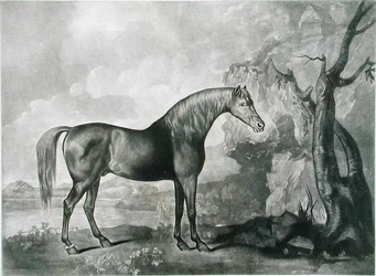 Bruin paardenmasker, naar George Stubbs, 1773