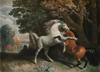 Vechtende paarden, 18e eeuw, 1902