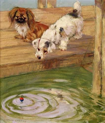 Een Peke en een Terrier