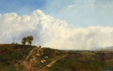 Kruispunten over de heide