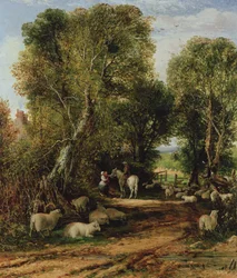 Pastorale scène met schapen