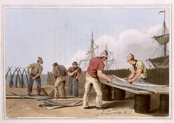 Walvisbot schrapers, gegraveerd door Robert Havell de Oudere, gepubliceerd 1814 door Robinson en Son, Leeds