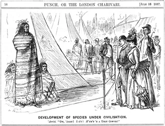 Het oude evolutionaire argument over Natuur of Opvoeding. Het zou een dappere persoon zijn die op basis van dit bewijs tot een conclusie komt. George du Maurier cartoon uit Punch, Londen