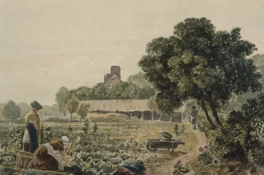 Moestuin in Chelsea