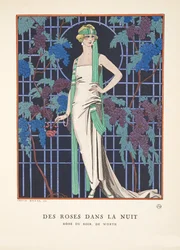 Rozen in de nacht, uit een collectie modeplaten