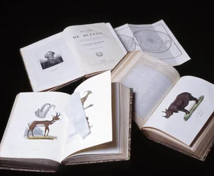 Stilleven van de "Volledige werken van Buffon" door natuuronderzoeker Georges Louis Leclerc, Graaf van Buffon (1707 - 1788). Gravure uit 1837.