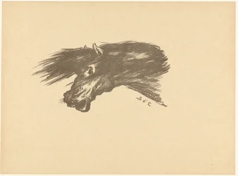 Hoofd van Paard