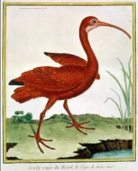 Onbekend schilderij