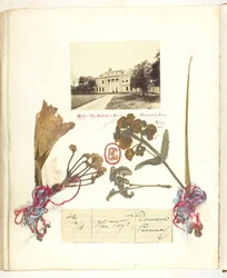 Zonder titel [uitzicht op Broadlands met gedroogde bloemen]