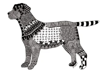 Labrador