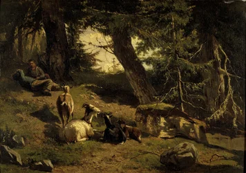 Zwitsers landschap