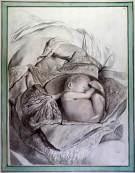 Voorstelling van een foetus van een mens in een baarmoeder