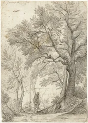 Bos van de Villa Madama buiten Rome