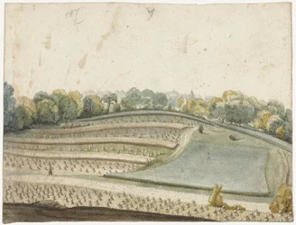 Panorama van een golvend graanveld van boven gezien