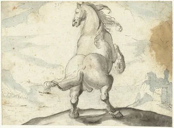 Steigerend paard voor een Italiaans havengezicht