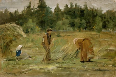 Het veld van de arme man