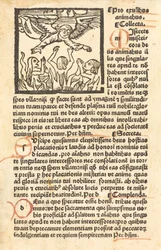 Vagevuur