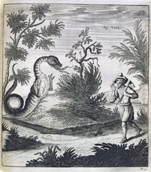Een Angstaanjagende Draak, ca. 1660