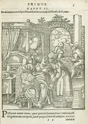 Een vrouw in arbeid, illustratie uit hoofdstuk 2, Boek 1 van Over de conceptie en groei van de mens door Rueff, 1587