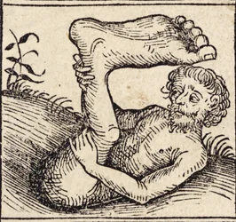 Een sciopod, Man met een gezwollen voet, uit `Registrum Hujus Operis Libri Cronicarum cum Figuris et Imagibus ab Inicio Mundi