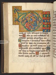 Grote ingelijste initialen in goud en kleuren met blad- en soms dierlijke en antropomorfe ornamenten (perkament)