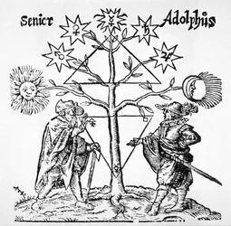 De Alchemistische Boom, Diagrammatisch en Emblematisch, uit Museum Hermeticum door Thomas Norton (1749) geïllustreerd in een geschiedenis van magie gepubliceerd eind 19e eeuw