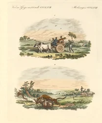 Antilopen jagen met luipaarden