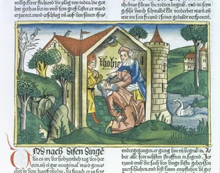Apocrief: Tobit wordt verblind door mussenuitwerpselen, uit de Neurenbergse Bijbel (Biblia Sacra Germanaica)