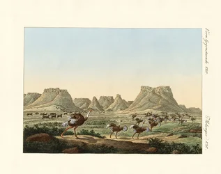 Gebied in Zuid-Afrika bij de Kaap de Goede Hoop