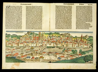 Vogelvlucht van Ratisbon, uit de Neurenberg Kroniek door Hartmann Schedel (1440-1514) 1493