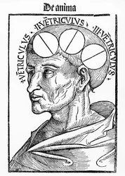 Holtes van de hersenen, uit Philosophia Naturalis van Albertus Magnus, gepubliceerd in Basel, 1506