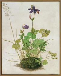 Columbus. Aquarel, tempera en penseel op perkament gemonteerd op karton (aquarel, tempera en penseel op perkament gemonteerd op karton)