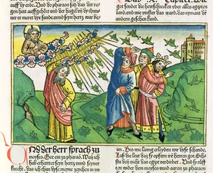 Exodus 10:1-20 De zeven plagen van Egypte: de sprinkhanenplaag, uit de Neurenbergse Bijbel (Biblia Sacra Germanica)