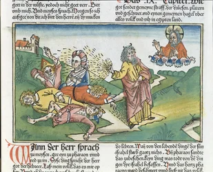 Exodus 9, 8-12: De zeven plagen van Egypte - Mozes en de plaag van zweren, uit de Neurenbergse Bijbel (Biblia Sacra Germanica)