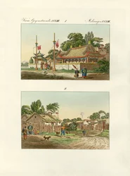 Chinese flats