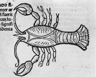 Le Cancer - in Verhandeling door Johannes Angeli De Magnisconnectionibue annorum revolutionibus ac eorum pefectionibus. Augsburg, Erhard Ratdolt