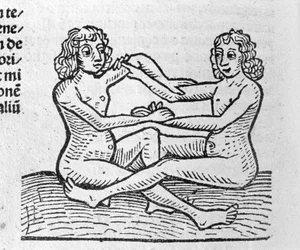 Les Gemini - in Verhandeling van Johannes Angeli De Magnisconnectionibue annorum revolutionibus ac eorum perfectionibus. Augsburg, Erhard Ratdolt