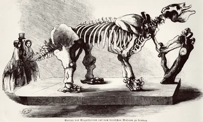 Megatherium skelet in het British Museum