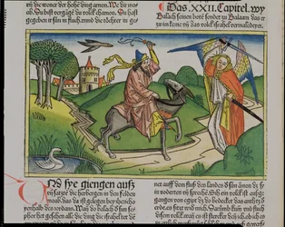 Numeri 22:20-35 Balaams pratende ezel, uit de Neurenbergse Bijbel (Biblia Sacra Germanaica)