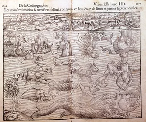 Plaat die alle soorten zee- en landmonsters vertegenwoordigt gevonden in noordelijke regio